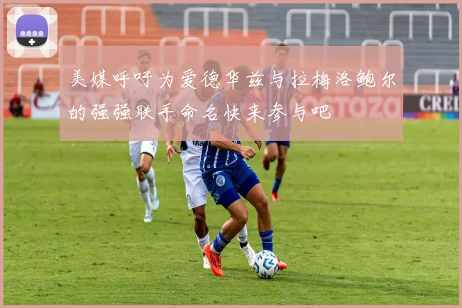 美媒呼吁为爱德华兹与拉梅洛鲍尔的强强联手命名快来参与吧